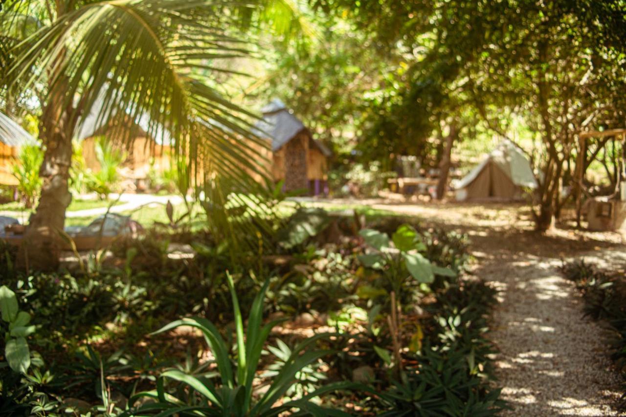 Lost Boyz Hostel Playa Santa Teresa  Bagian luar foto