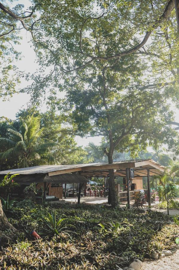 Lost Boyz Hostel Playa Santa Teresa  Bagian luar foto